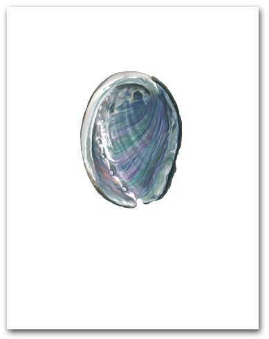 Abalone Interior Nacre Small Vertical Larger