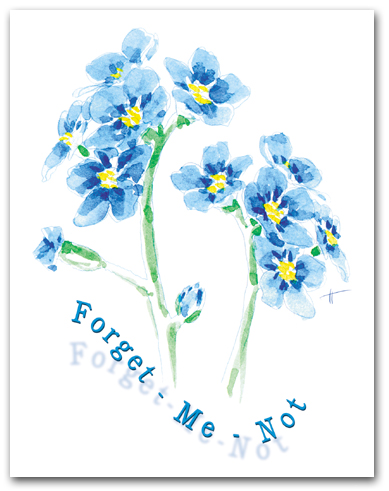 Blue Forget-Me-Not Large Flower Cluster Larger