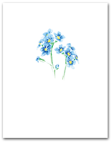 Blue Forget-Me-Not Small Flower Cluster Larger
