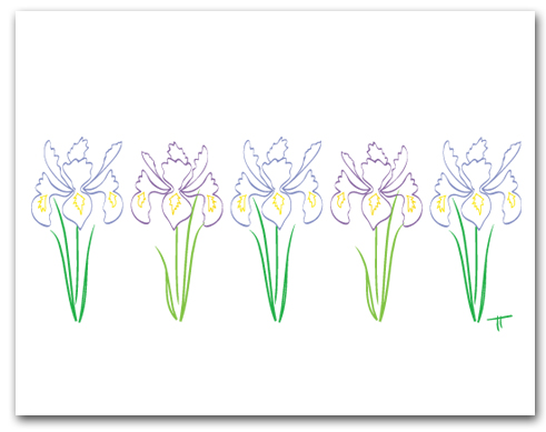 Five Simple Line Drawing Flag Iris Row Larger