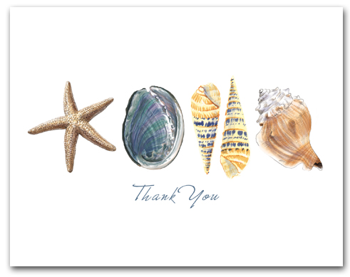 Sea Star Abalone Augers Whelk Row Thank You Horizontal Larger