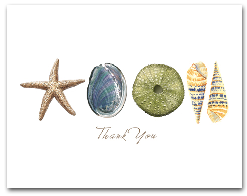 Sea Star Abalone Green Sea Urchin Augers Row Thank You Horizontal Larger