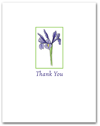 Small Blue Flag Iris Thank You Larger