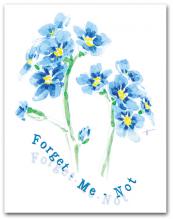 Blue Forget-Me-Not Large Flower Cluster