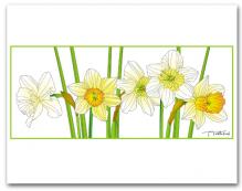 Five Daffodils Row Green Outline