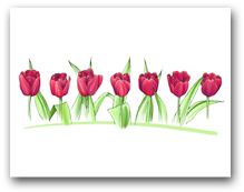Seven Red Tulips Row